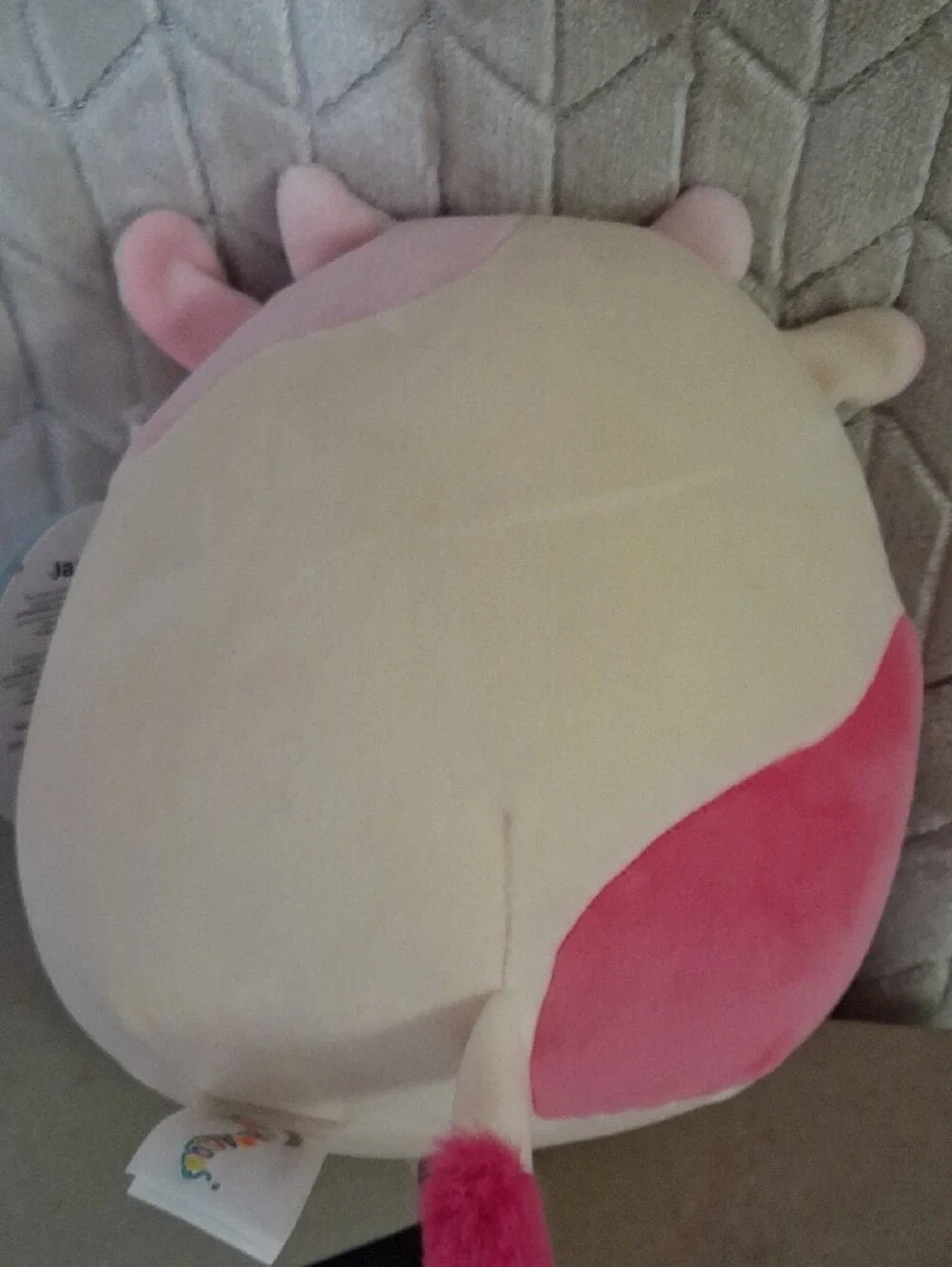 Squishmallow-Caedyn The 8